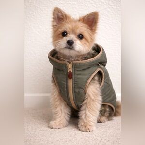Reddy Faux-Shearling Reversible Vest for Dogs, X-Small, Green